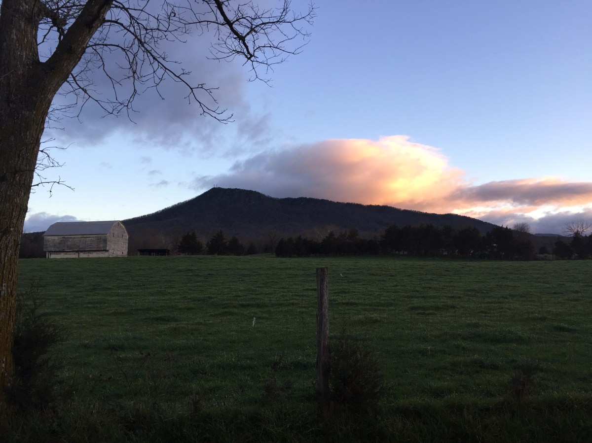 Lessons from screen free&nbsp;week