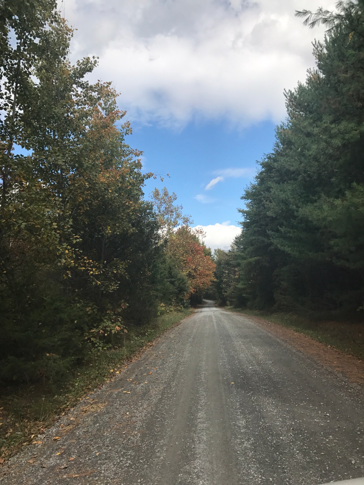 Daybook – March&nbsp;20