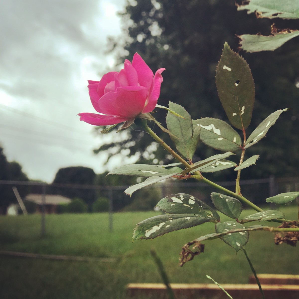 Stationary set becomes a gift of&nbsp;life